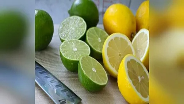تصویر 6 از قیمت لیمو ترش شیرازی + خرید باور نکردنی
